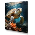 thumbnail image 2 of Designart "Frolicsome Oceanic Turtle I" Animals Turtle Canvas Prints, 2 of 7