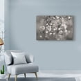 thumbnail image 3 of Trademark Fine Art 'Blush Blossoms I BW' Canvas Art by Sue Schlabach, 3 of 3