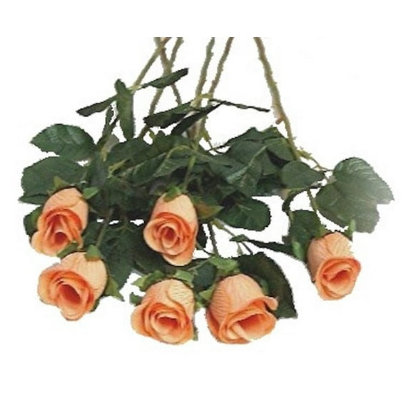 Apricot Rose Bud 24in Artificial Polysilk Faux Fake Flower Long Stem for Craft Home Garden Outdoor Bouquet Arrangement Ceremony Wedding Arch Floral Wall Aisle Decor (Peach, Set of 2 Dozen)