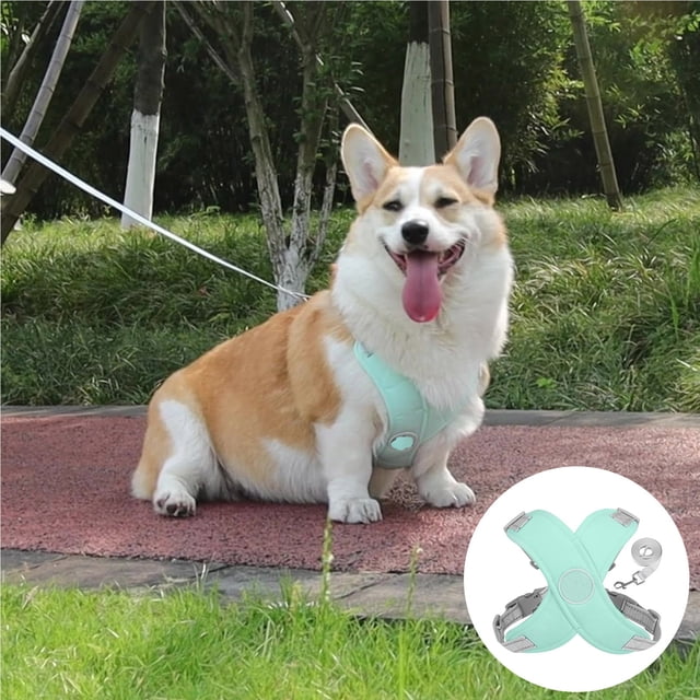 Dog Harness, No-Pull No-Choke with Leash Set for Small Medium Dogs, Adjustable Soft Padded Step-in Vest Harness with Reflective Strips, X-Frame Design for Daily Walks & Outdoor Adventures, S