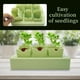 thumbnail image 5 of Juego de herramientas de jardinería para exterior con bandeja reutilizable para granos | Suministros de jardinería duraderos para organizar semillas y tierra | Kit ecológico, 5 of 6