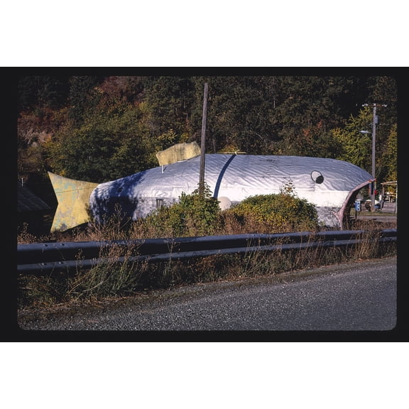 Fish Inn Canvas Wall Art (20" x 30")