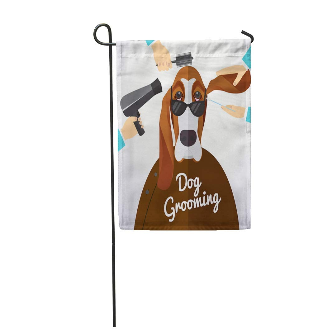 NUDECOR Wash Basset Hound Getting Groomed at Pet Grooming Salon