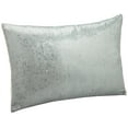 thumbnail image 1 of Calvin Klein Home Tinted Wake Reflect Paillette Pillow, 1 of 5