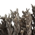 thumbnail image 4 of Vickerman 18-20" Silver White Pubescens, 5 oz Bundle, Preserved, 4 of 4