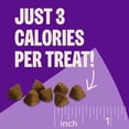 thumbnail image 5 of Wellness CORE Tiny Trainers Dog Treats, Natural, Grain Free, Lamb and Apple Recipe, 6 oz Bag, 5 of 7