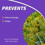 Bonide Sedge Ender 16 Oz. Concentrate Weed Killer 069