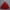 Wine, variant on Tween Dresses Flower Girl Dress for Wedding Fancy Princess Ball Gown Dresses Tulle Maxi Birthday Party Dress Bridesmaid Formal Special Occasion Dresses Vestidos Elegantes Para Niñas,Size 7-12