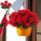 thumbnail image 1 of Ramo de Flores Artificiales Rojas Qazbgdl | Flores Artificiales de 33 Cm para Decoración Del Hogar | Arreglo de Vegetación de Plástico | 1 Pieza, 1 of 7