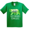thumbnail image 3 of Inktastic Gatlinburg, Tennessee Mountains and Bear Shape Youth T-Shirt, 3 of 5