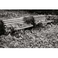 thumbnail image 2 of Vitaly Geyman 18x13 White Modern Wood Framed Wall Art Titled - Autumn Paradise I BandW, 2 of 5