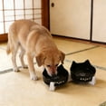 thumbnail image 5 of Nkmbld Ceramic Dog Bowls Elevated, Double Dog Water and Food Bowl with Non-Slip Wooden Station, Pet Feeder Bowls for Puppy Medium Dogs Cats, 5 of 7