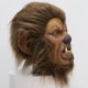 thumbnail image 4 of Máscara de monstruo de hombre lobo de Halloween, realista, peluda, de látex para adultos, 4 of 5