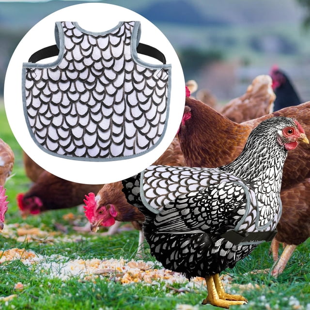 Funda protectora para silla de montar de pollos, delantal para pollos, gallinas, apareamiento, protector de espalda, delantal para gallinas, granjas, y negro