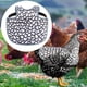 thumbnail image 1 of Funda protectora para silla de montar de pollos, delantal para pollos, gallinas, apareamiento, protector de espalda, delantal para gallinas, granjas, y negro, 1 of 9