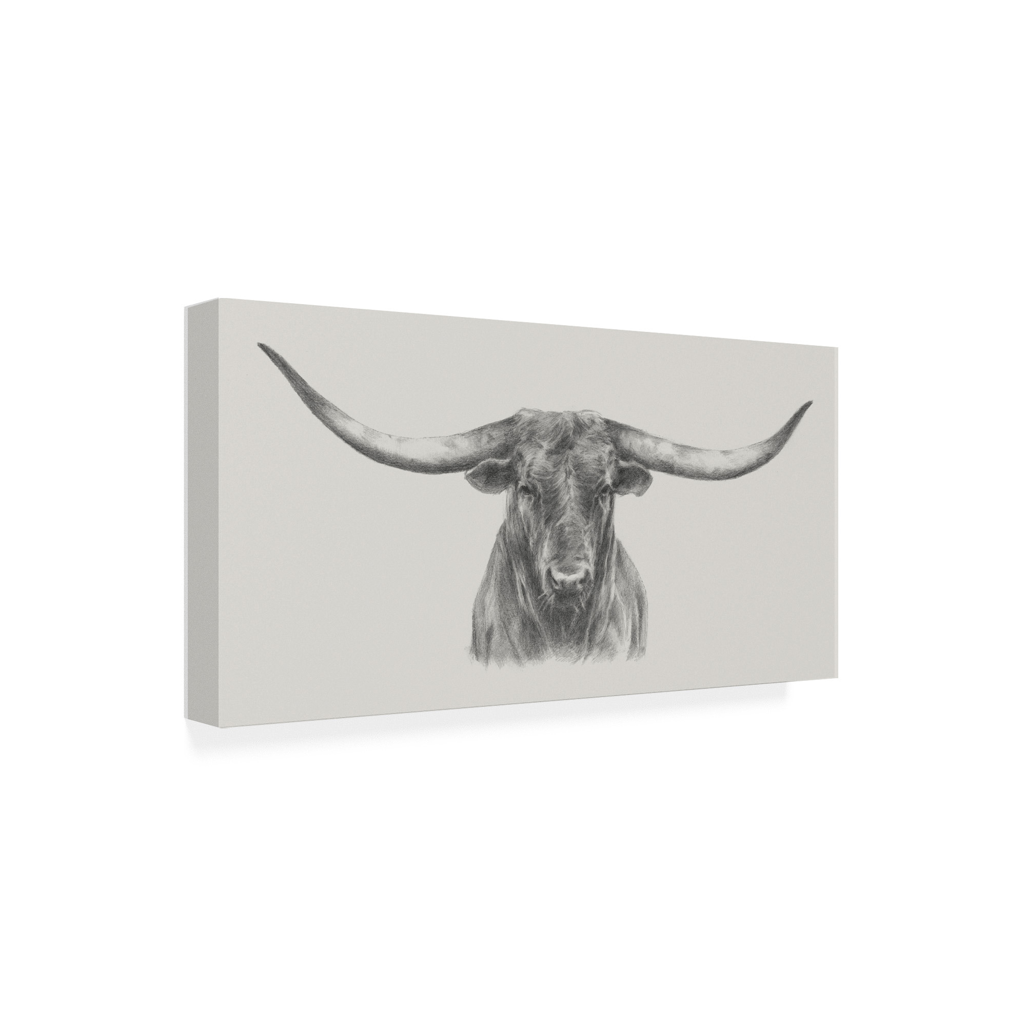 Trademark Fine Art 'Longhorn Bull' Canvas Art by Ethan Harper