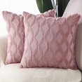 thumbnail image 3 of Paquete de 2 fundas de almohada decorativas de terciopelo de lana corta de felpa suave funda de cojín de estilo lujoso funda de almohada para sofá dormitorio cuadrado JFHHH pequeña, 3 of 5