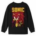 thumbnail image 3 of DC x Sega Sonic the Hedgehog as the Flash Youth Black Crew Neck Sweatshirt-Medium, 3 of 5