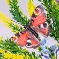 thumbnail image 4 of Adorno colgante Berfutall con plumas y mariposas, juego de 12 piezas, 9 cm, 4 of 6