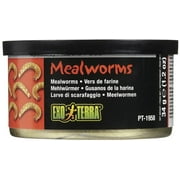 Exo Terra Canned Mealworms Specialty Reptile Food 1.2 oz Pack of 3