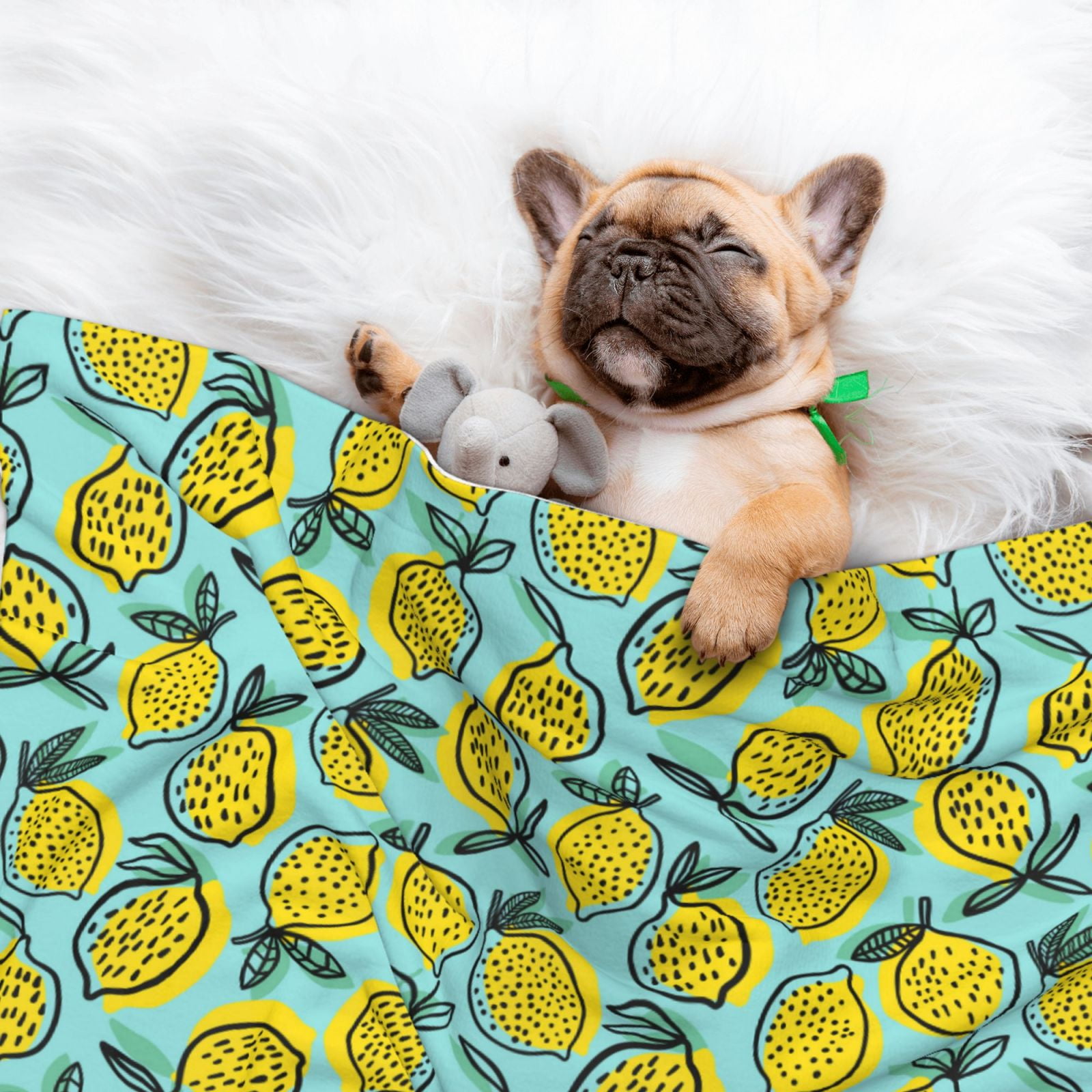 Naloa Lemon1 Dog Blanket, 3 Sizes Cat Blanket for Indoor Cats Large Medium Small Dog Gifts-Small