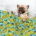 thumbnail image 3 of Naloa Lemon1 Dog Blanket, 3 Sizes Cat Blanket for Indoor Cats Large Medium Small Dog Gifts-Medium, 3 of 8