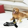 thumbnail image 1 of Squeaky Dog Toys Aggressive Chewers Dog Toys For Small Medium Large Dog Aggressive Chew for Small Dogs Squeaky Dog Stimulation Outdoor Mini Dog for Small Dogs Pack Pig for Mini Pigs Dog First Birthday, 1 of 3