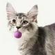 thumbnail image 5 of Para gatos, juego de unos 40 juguetes sostenibles hechos a mano para gatos. Juguete/juego para gatos. También se puede convertir en accesorios DIY. Juguete sostenible para gatos con colores vivos., 5 of 8