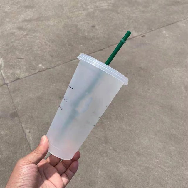 Innovative Temperature-Sensitive PP Plastic Color-Changing Cup with Built-in Straw – Durable, Compact & Stylish Transparent Tumbler for Cold Drinks, Travel, Outdoor Activities, Business Meetings &