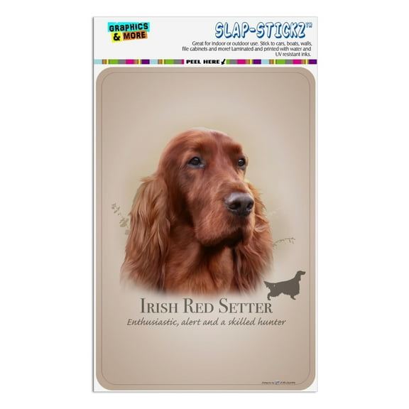 Irish Red Setter Dog Breed Home Business Office Sign