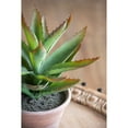 thumbnail image 5 of A&B Home 10-inch Green and Brown Potted Plush Cactus, 5 of 5