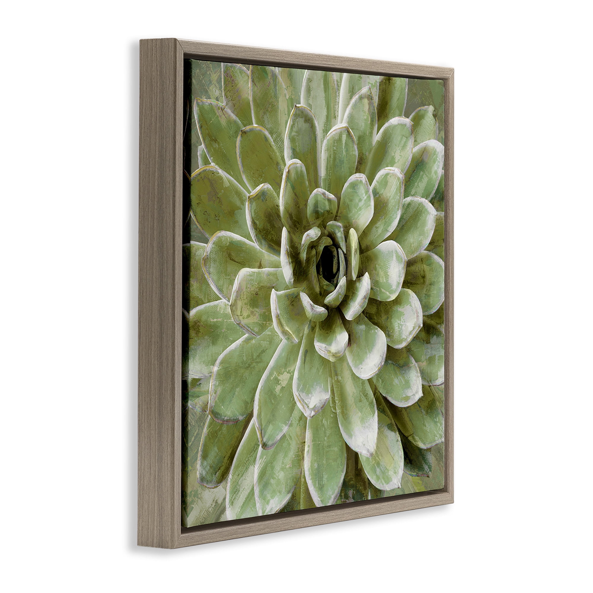 Stupell Industries Green Botanical Succulent Bloom Botanical & Floral Painting Brown Floater Framed Canvas Art Print Wall Art, 18 x 18