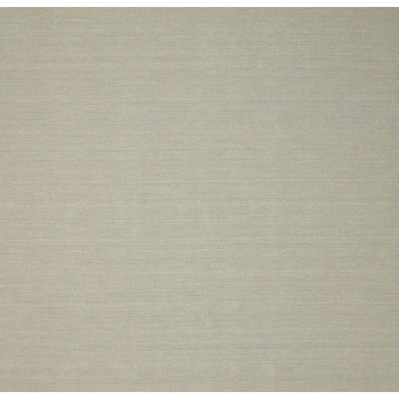 Ahgly Company Indoor Rectangle Contemporary Sage Green Solid Area Rugs, 2' x 5'