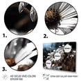 thumbnail image 3 of Designart "Daisies landscape Sunrise III" Floral Floater Framed Wall Art Living Room, 3 of 7