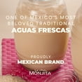 thumbnail image 5 of La Monjita Agua Fresca Marzipan No Sugar - Mexican Agua Fresca Marzipan Naturally Peanut Flavored No Sugar Added Drink Mix - 100 Servings (1kg / 35.2oz), 5 of 8