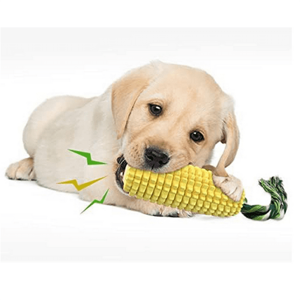 Dog chew toys walmart hot sale
