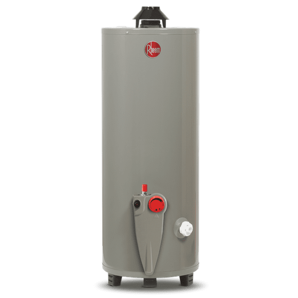 Calentador de Agua de Depósito Rheem 76 Litros a Gas Natural 2 Servicios gris