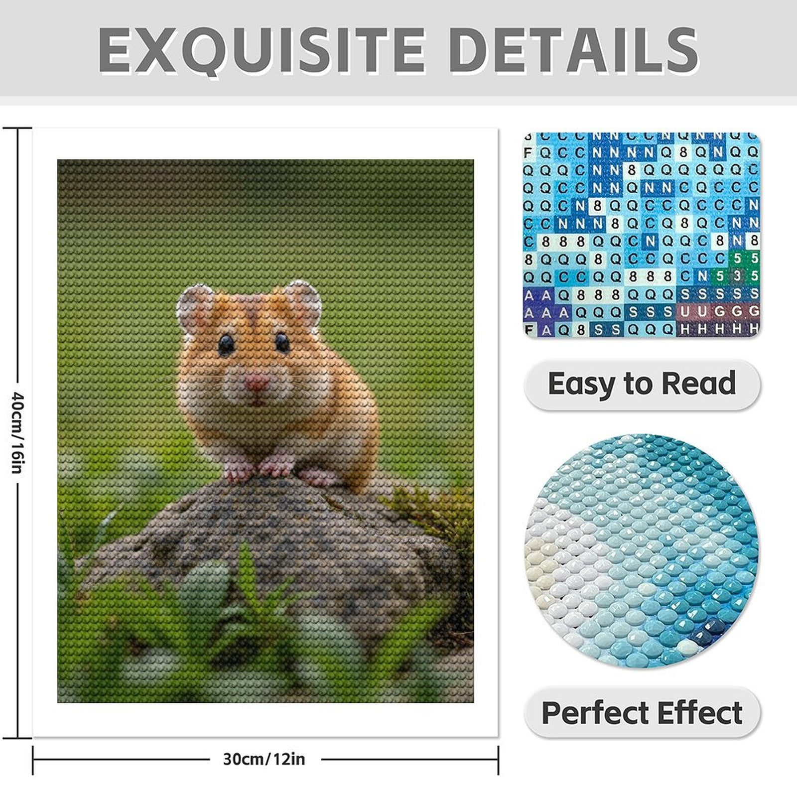 Diamond Art Kit for Adults, Small Animal On Rock Nature Scene Diamond Painting for Adults Beginners, 5D DIY Diamond Art Painting Kits, Colorful Diamond Painting Craft for Home Decor 12x16