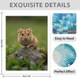 thumbnail image 3 of Diamond Art Kit for Adults, Small Animal On Rock Nature Scene Diamond Painting for Adults Beginners, DIY Diamond Art Painting Kits, 5D Diamond Painting Crafts for Home Decor 12x16 Frameless, 3 of 7