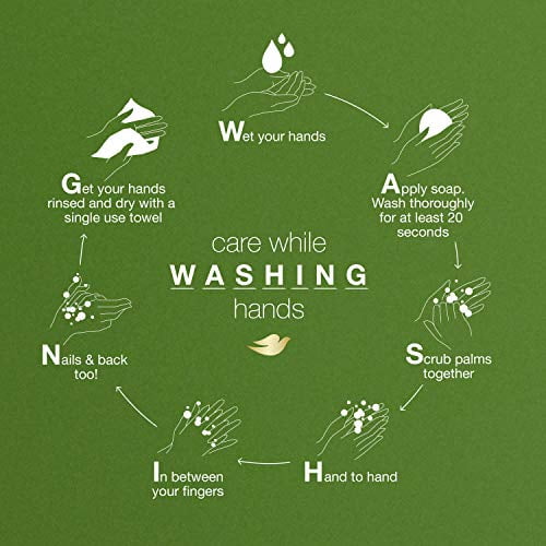 Dove Refreshing Body Wash with Pump Revitalizes and Refreshes Skin Cucumber and Green Tea Effectively Washes Away Bacteria While Nourishing Your Skin 34 oz 3 Count
