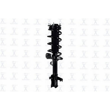 Suspension Strut and Coil Spring Assembly