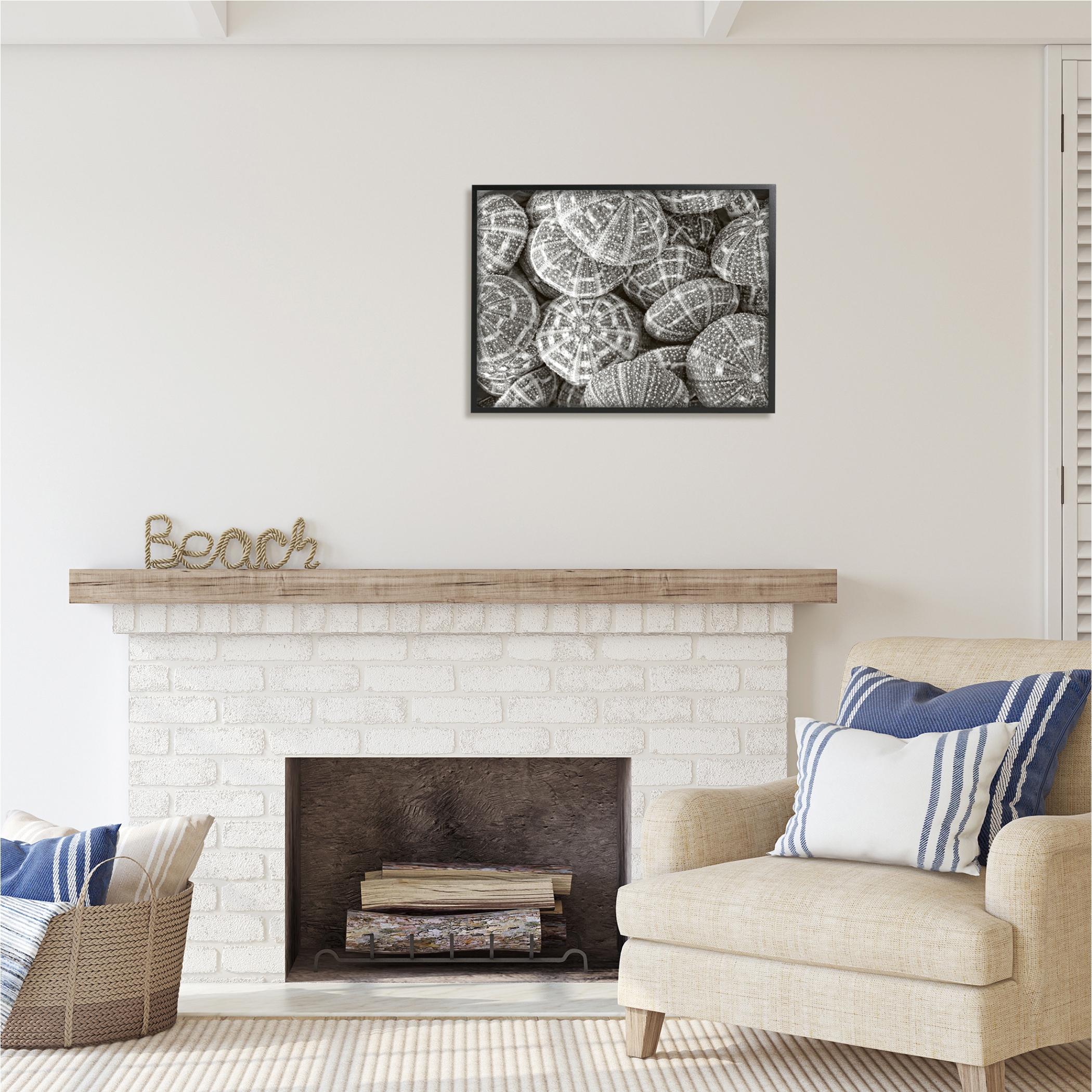 Stupell Industries Pewter Sea Urchins Photography Animals & Insects Photography Black Framed Art Print Wall Art, 30 x 24