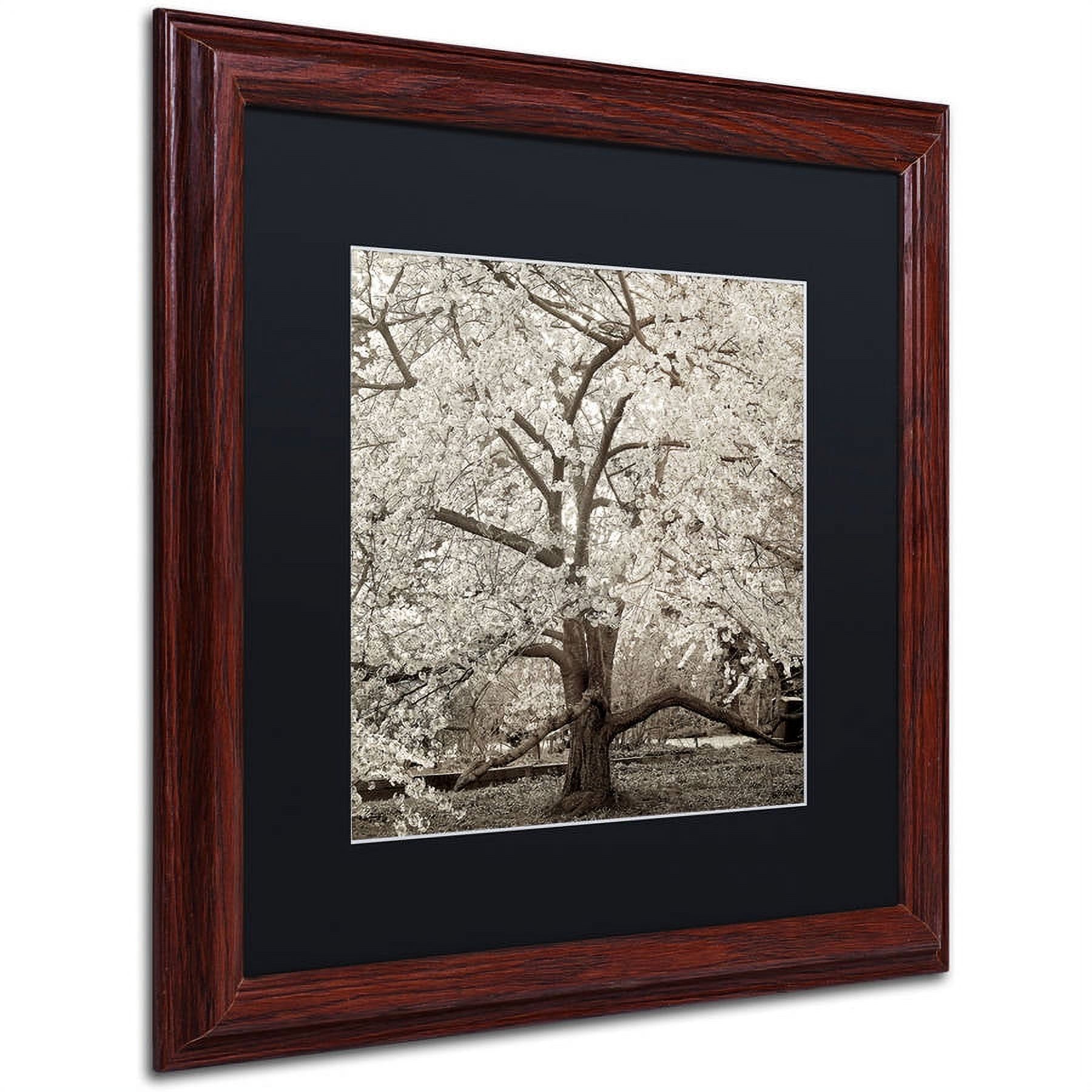 Trademark Fine Art "Hampton Magnolia II" Canvas Art by Alan Blaustein, Black Matte, Wood Frame