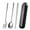 Black, variant on MERILER Portable Stainless Steel Flatware Set with Travel Case: Spoon, Fork, and Chopsticks for On-the-Go Meals