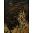 thumbnail image 2 of Adolf Ditscheiner 12x14 Black Ornate Wood Framed Double Matted Museum Art Print Titled: Water Level of a Pond with Plants (Approx. 1880-1900), 2 of 5