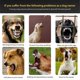 thumbnail image 3 of Dog Training Collar Automatic Bark Stop Device Trainer Black White, 3 of 5
