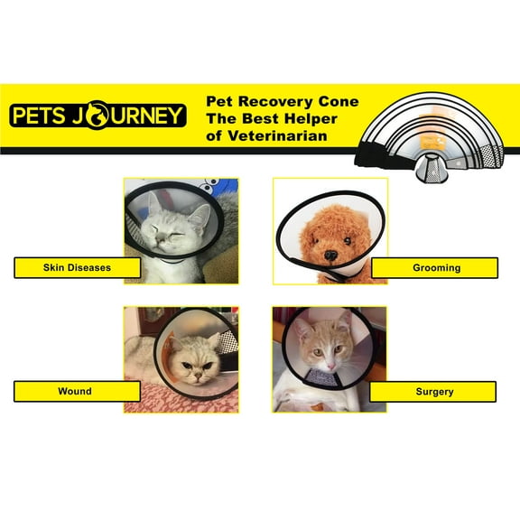M Pet Recovery Cone