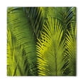 thumbnail image 1 of Nature Bandana, Tropical Foliage Leaf, Unisex Head and Neck Tie, by Ambesonne, 1 of 1