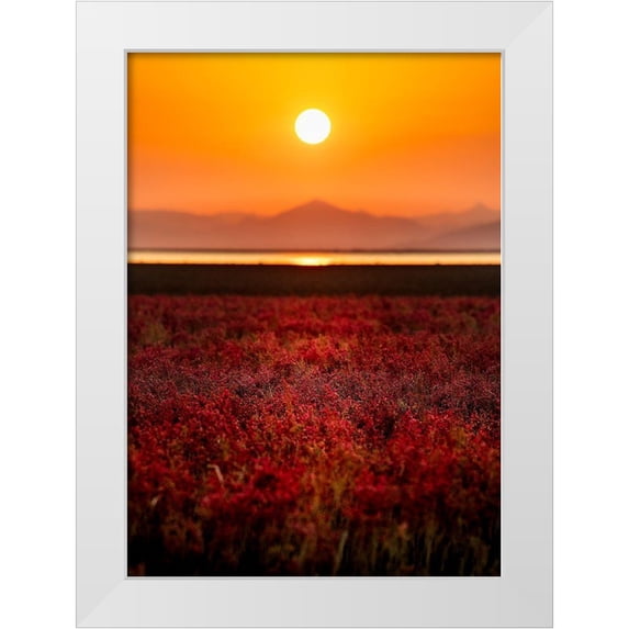 Sono, Hidenori 11x14 White Modern Wood Framed Museum Art Print Titled - Orange Sky