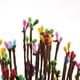 thumbnail image 4 of Primitive Pip Garnd en multicolor / verde / rojo / naranja / beige Zulema Artificial Berry Garland, 4 of 8